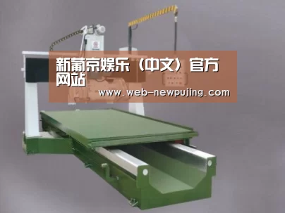 产品名称九