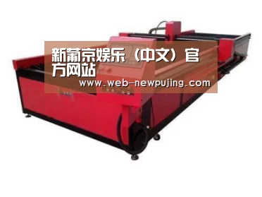 产品名称九