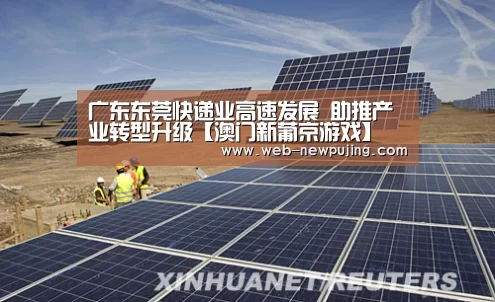 广东东莞快递业高速发展 助推产业转型升级【澳门新葡京游戏】(图2) 新葡京娱乐官网