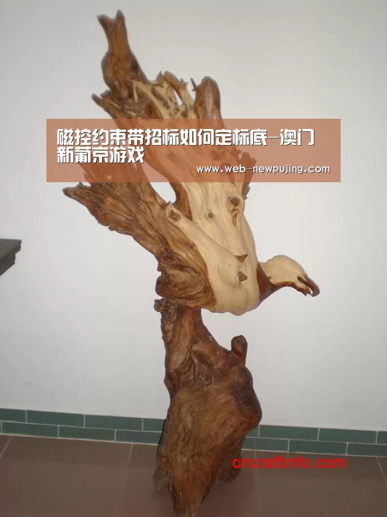 磁控约束带招标如何定标底-澳门新葡京游戏(图1) 新葡京娱乐官网
