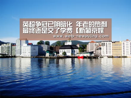 英超争冠已阴暗化 年老的热刺最终还是交了学费【新葡京娱乐官网】(图2) 澳门新葡京游戏